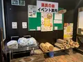 ひろしま県民の森の写真_372654