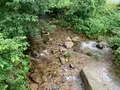 ひろしま県民の森の写真_372668