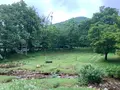 ひろしま県民の森の写真_372674