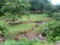 ひろしま県民の森の写真_372677