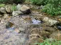 ひろしま県民の森の写真_372679