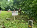 熊野の大トチの写真_372682