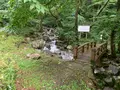 熊野の大トチの写真_372685