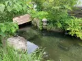 神楽門前湯治村の写真_372759