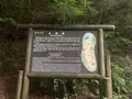 三段峡の写真_372804