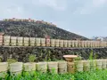 三ッ城古墳の写真_372844