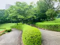 三ッ城古墳の写真_372851