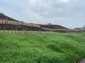 三ッ城古墳の写真_372859