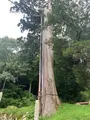 福成寺の写真_372868