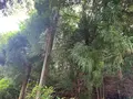 福成寺の写真_372876