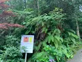 福成寺の写真_372877