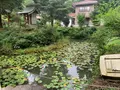 福成寺の写真_372880