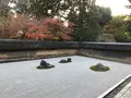 龍安寺の写真_372972