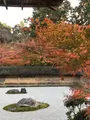 龍安寺の写真_372976
