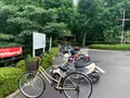 鏡山公園の写真_373057