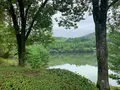 鏡山公園の写真_373062