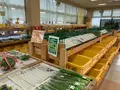 食彩館しょうばらゆめさくらの写真_373283