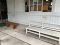 お酒喫茶 酒泉館の写真_373611