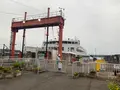 三津浜港の写真_373631