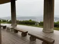 松山総合公園の写真_373681