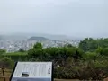 松山総合公園の写真_373688