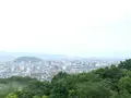 松山総合公園の写真_373691