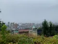 松山総合公園の写真_373692