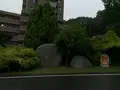 松山総合公園の写真_373696