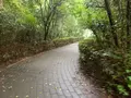 松山総合公園の写真_373700