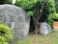 松山総合公園の写真_373701