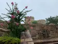 松山総合公園の写真_373704