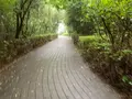 松山総合公園の写真_373705