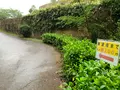 松山総合公園の写真_373711