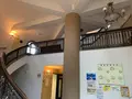 松山総合公園の写真_373712