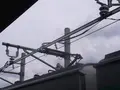 烏山駅の写真_373719
