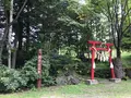 丸沼高原スキー場の写真_373743