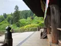 長谷寺の写真_373762