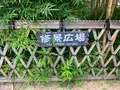 たけはら町並み保存地区の写真_373976
