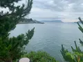 エデンの海パーキングエリアの写真_373990