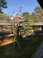 大覚寺の写真_374130
