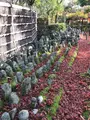 化野念仏寺の写真_374140