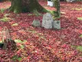化野念仏寺の写真_374142