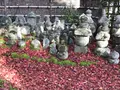 化野念仏寺の写真_374158