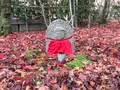 化野念仏寺の写真_374161