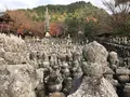 化野念仏寺の写真_374162