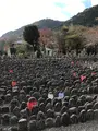 化野念仏寺の写真_374163