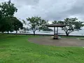 江田島オリーブファクトリーの写真_374210