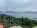 しびれ峠の写真_374231
