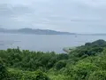 しびれ峠の写真_374232