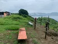 しびれ峠の写真_374234